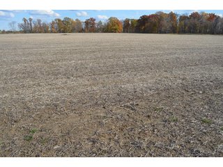 Property photo 79 - 127 Acres Offered in 8 Tracts - Allen & Dekalb County Land